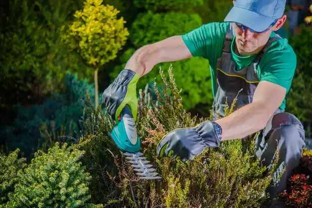 landscaping services Oshkosh